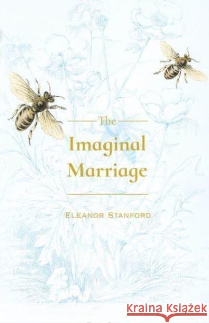 Imaginal Marriage Eleanor Stanford 9780887486418 Carnegie-Mellon University Press