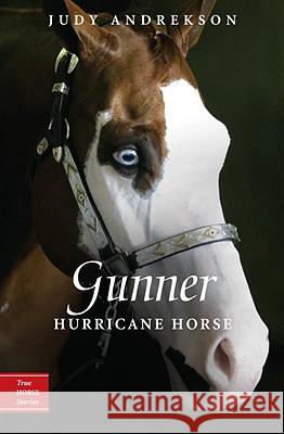 Gunner: Hurricane Horse Judy Andrekson David Parkins 9780887769054 Tundra Books (NY)