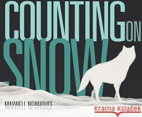 Counting on Snow Maxwell Newhouse 9780887769856 Tundra Books (NY)