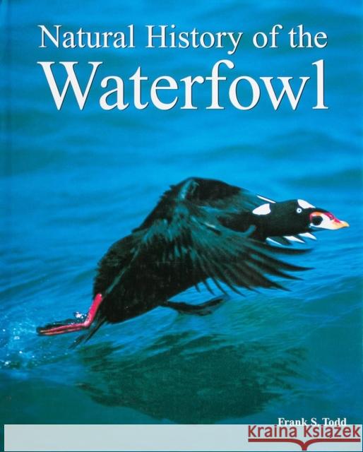 Natural History of the Waterfowl Frank Todd 9780888391377 Hancock House Publishers Ltd ,Canada
