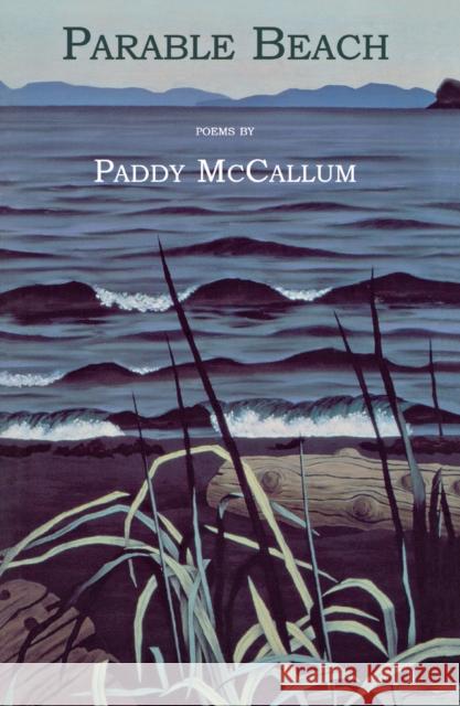 Parable Beach Paddy McCallum 9780888784124 Porcepic Books