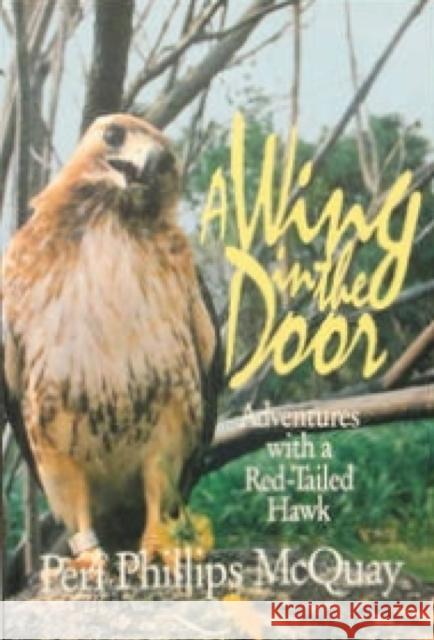 A Wing in the Door: Adventures with a Red-Tailed Hawk Peri Phillips McQuay 9780888821638 Dundurn Press
