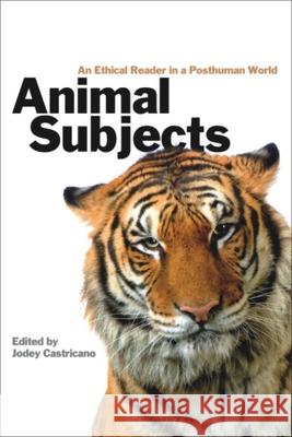 Animal Subjects: An Ethical Reader in a Posthuman World Castricano, Jodey 9780889205123 WILFRID LAURIER UNIVERSITY PRESS