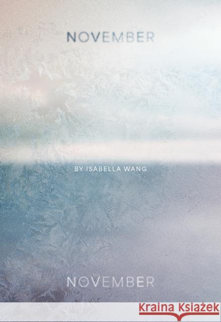 November, November Isabella Wang 9780889714847 Nightwood Editions