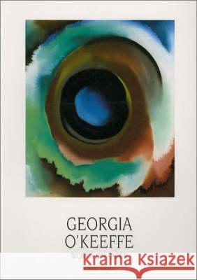 Georgia O'Keeffe: Works on Paper Barbara Haskell Georgia O'Keeffe David Turner 9780890131534 Museum of New Mexico Press