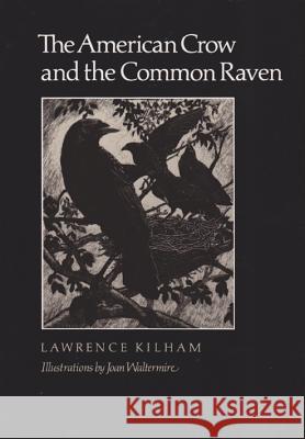 The American Crow & Common Raven Lawrence Kilham Joan Waltermire 9780890964668 Texas A&M University Press