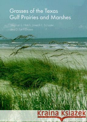 Grasses of the Texas Gulf Prairies and Marshes Stephan L. Hatch D. Lynn Drawe Joseph L. Schuster 9780890968758 Texas A&M University Press