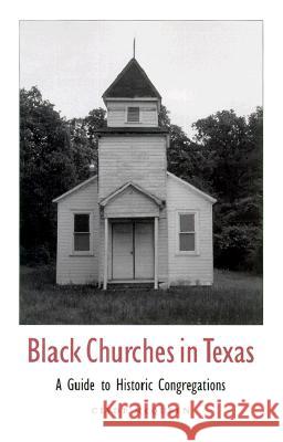 Black Churches in Texas, Volume 85: A Guide to Historic Congregations McQueen, Clyde 9780890969021 Texas A&M University Press
