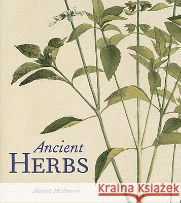 Ancient Herbs Marina Heilmeyer 9780892368846 J. Paul Getty Trust Publications