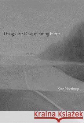 Things Are Disappearing Here: Poems Kate Northrop 9780892553341 Persea Books