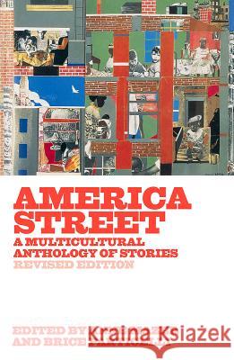 America Street: A Multicultural Anthology of Stories Anne Mazer Brice Particelli 9780892554911 Persea Books
