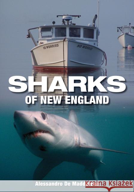 Sharks of New England Alessandro D 9780892728138 Down East Books