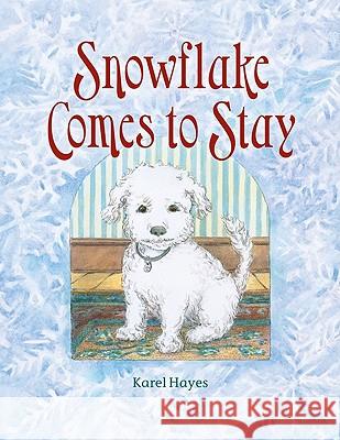 Snowflake Comes to Stay Karel Hayes 9780892728503