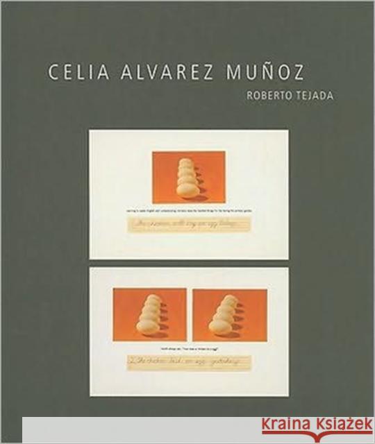 Celia Alvarez Munoz Roberto Tejada 9780895511119 University of Minnesota Press