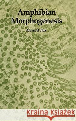 Amphibian Morphogenesis Harold Fox 9780896030435 Humana Press