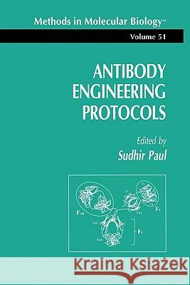 Antibody Engineering Protocols Sudhir Paul 9780896032750 Humana Press