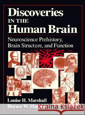 Discoveries in the Human Brain: Neuroscience Prehistory, Brain Structure, and Function Marshall, Louise H. 9780896034358 Humana Press