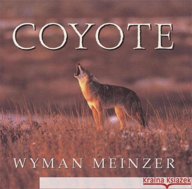 Coyote  9780896723535 Texas Tech Press,U.S.