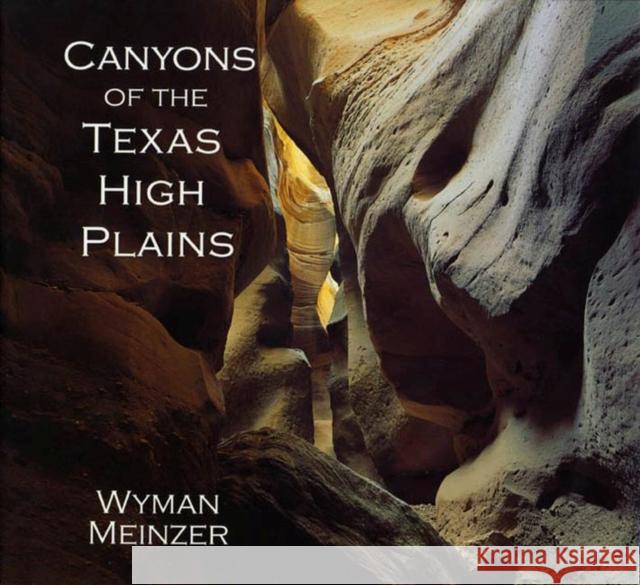 Canyons of the Texas High Plains Wyman Meinzer Fredrick W. Rathjen 9780896724631 Texas Tech University Press