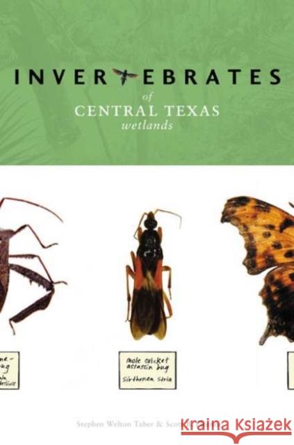 Invertebrates of Central Texas Wetlands Stephen Welton Taber Scott B. Fleenor 9780896725508 Texas Tech University Press