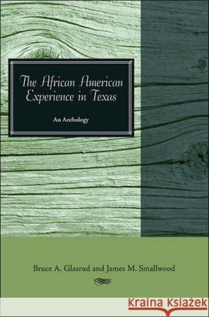 The African American Experience in Texas: An Anthology Glasrud, Bruce A. 9780896726093 Texas Tech University Press