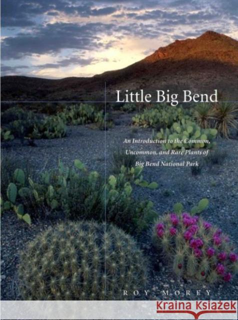 Little Big Bend: Common, Uncommon, and Rare Plants of Big Bend National Park Morey, Roy 9780896726130 Texas Tech University Press