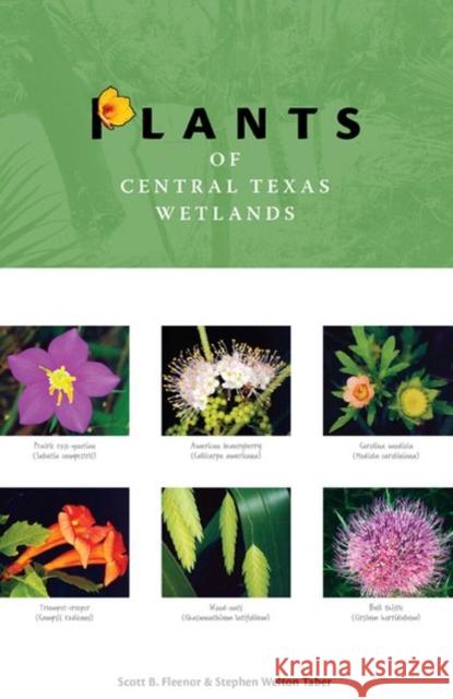 Plants of Central Texas Wetlands Scott B. Fleenor Stephen W. Taber 9780896726390 Texas Tech University Press