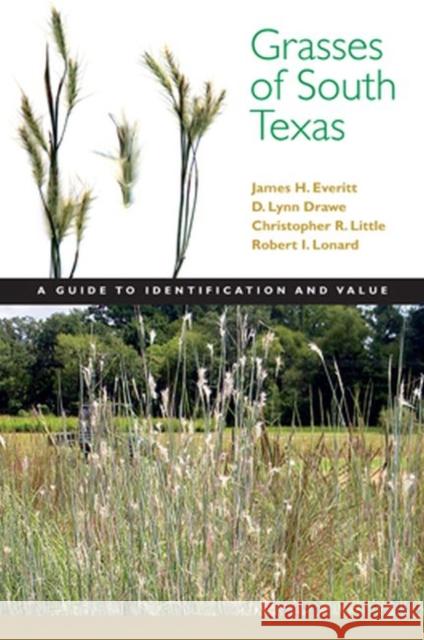 Grasses of South Texas: A Guide to Identification and Value Everitt, James H. 9780896726680