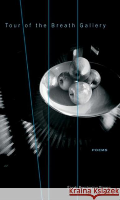 Tour of the Breath Gallery Strong, Sarah Pemberton 9780896727946 Texas Tech University Press