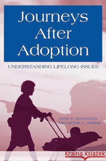 Journeys After Adoption: Understanding Lifelong Issues Schooler, Jayne E. 9780897898164 Bergin & Garvey