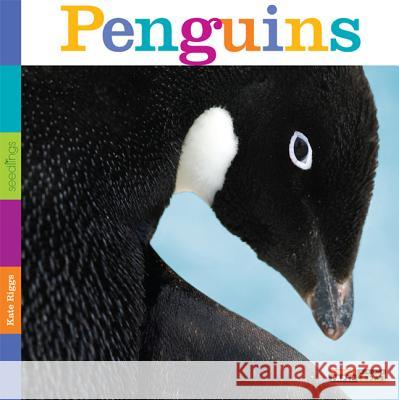 Seedlings: Penguins Kate Riggs 9780898127867 Creative Paperbacks
