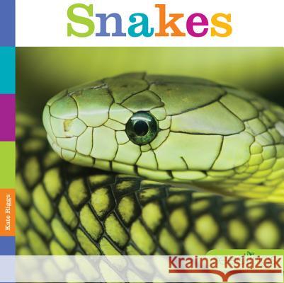 Snakes Kate Riggs 9780898128888 Creative Paperbacks