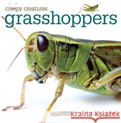 Grasshoppers Valerie Bodden 9780898129359 Creative Paperbacks