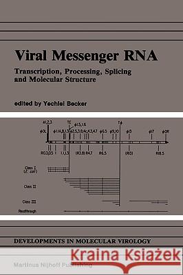 Viral Messenger RNA: Transcription, Processing, Splicing and Molecular Structure Becker, Yechiel 9780898387063