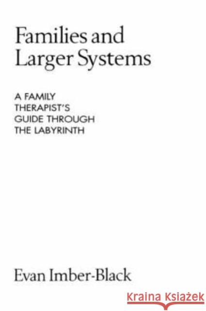Families and Larger Systems: A Family Therapist's Guide Through the Labyrinth Imber-Black, Evan 9780898621099