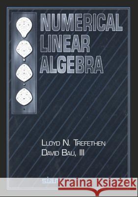 Numerical Linear Algebra Lloyd Trefethen 9780898713619 0