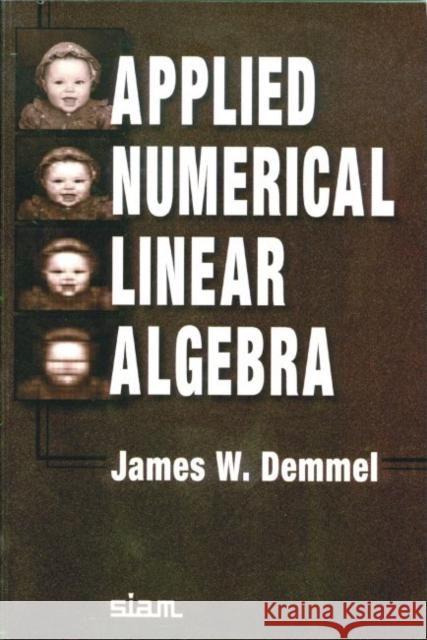 Applied Numerical Linear Algebra James W Demmel 9780898713893 0