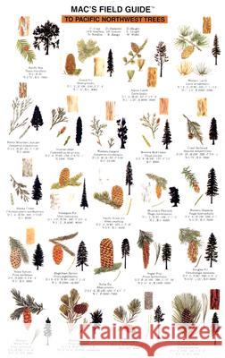 Mac's Field Guides: Northwest Trees Macgowan, Craig 9780898863918 Mountaineers Books