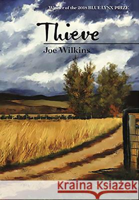 Thieve Joe Wilkins 9780899241661 Lynx House Press