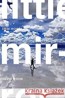 Little Mirror David Weiss 9780899241821