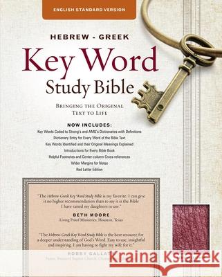 Hebrew-Greek Key Word Study Bible-ESV: Key Insights Into God's Word Warren Patrick Baker 9780899579177 