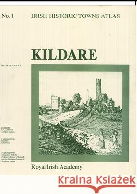 Irish Historic Towns Atlas No. 1: Kildare J. H. Andrews 9780901714510 ROYAL IRISH ACADEMY