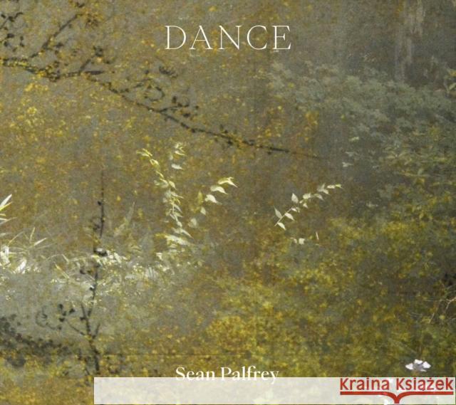 Sean Palfrey: Dance Sean Palfrey 9780903696913 Hurtwood Press Ltd