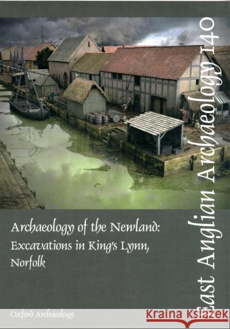 Archaeology of the Newland: Excavations in King's Lynn, Norfolk Brown, Richard 9780904220667 East Anglian Archaeology