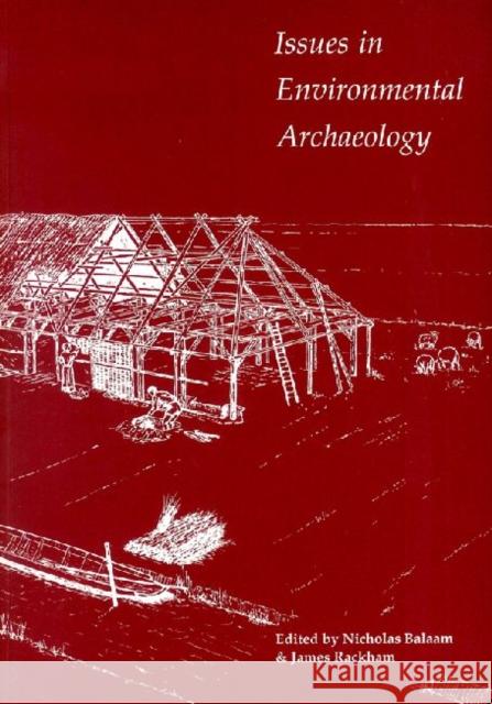 Issues in Environmental Archaeology: Perspectives on Its Archaeological and Public Role Balaam, Nicholas 9780905853291