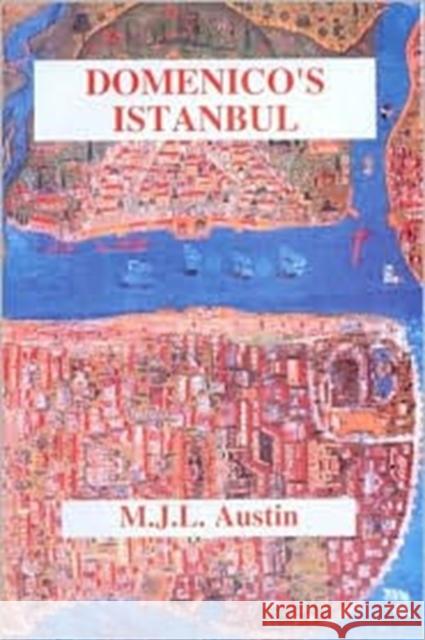 Domenico's Istanbul M. J., L. Austin Geoffrey Lewis 9780906094365 Gibb Memorial Trust