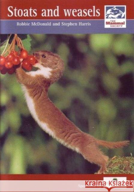 Stoats and Weasels  9780906282618 Mammal Society