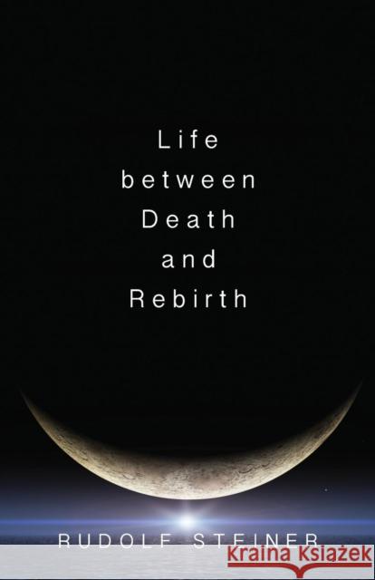 Life Between Death and Rebirth: The Active Connection Between the Living and the Dead Rudolf Steiner, R. M. Querido 9780910142625 Anthroposophic Press Inc