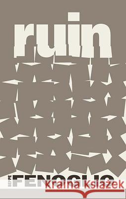 Ruin Beppe Fenoglio John Shepley 9780910395847 Marlboro Press