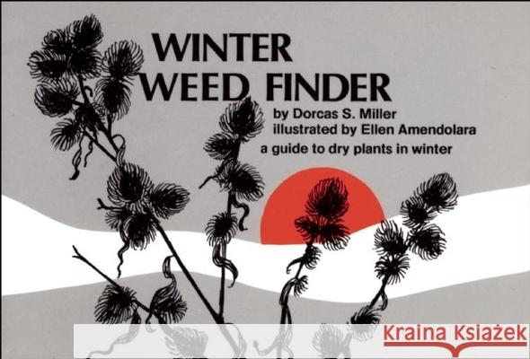 Winter Weed Finder: A Guide to Dry Plants in Winter Dorcas S. Miller Ellen Amendolara 9780912550176 Wilderness Press
